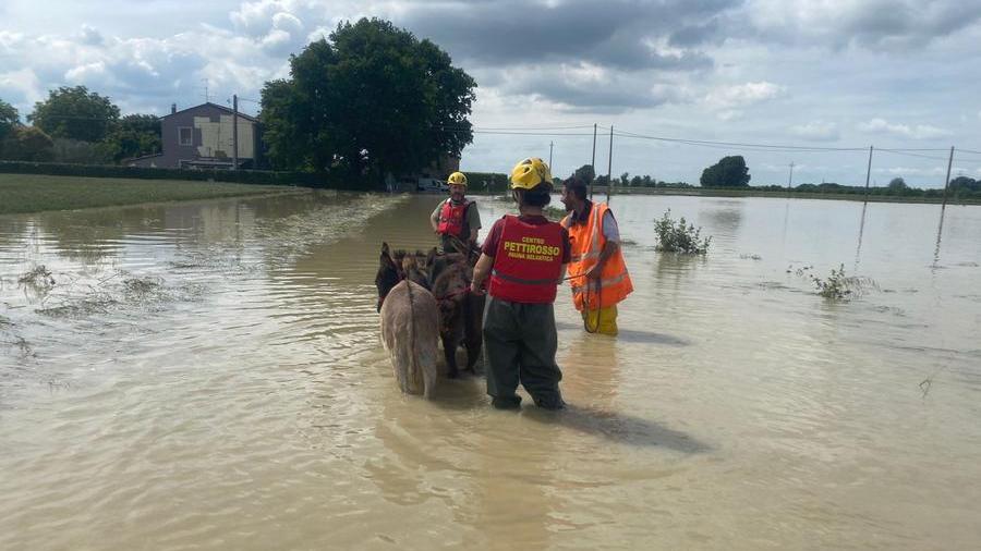 Weather updates – Red and orange alerts also on Saturday 20 May in Emilia Romagna. Pioppa bridge reopened as well as&nbsp;Navicello