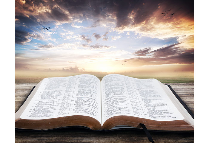 CAN ANYONE CHALENGED GOD THE ANSWER IS&nbsp;NO.