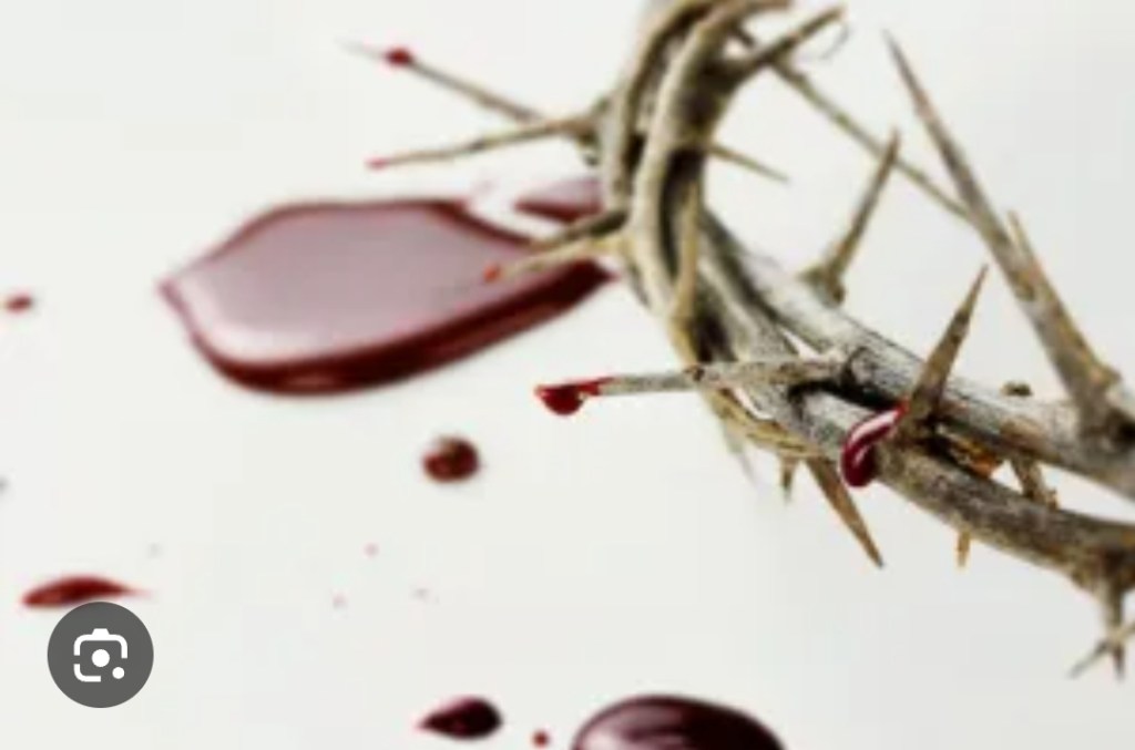 When the blood of Jesus Christ speaks in your life NO one can sand against&nbsp;you.
